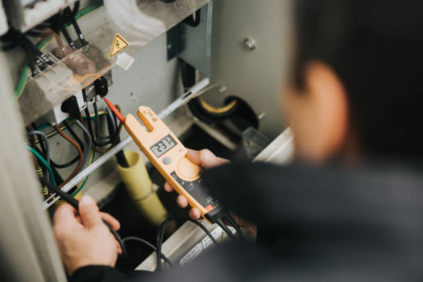 Best Generator Installation Services  in Centreville, MI