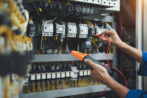 Best Electric Panel Repair  in Centreville, MI
