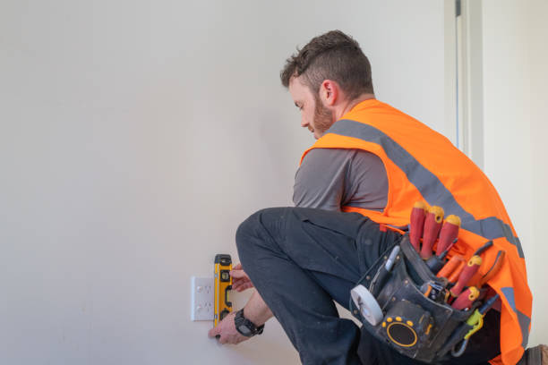 Best Electrical Upgrades for Homes  in Centreville, MI
