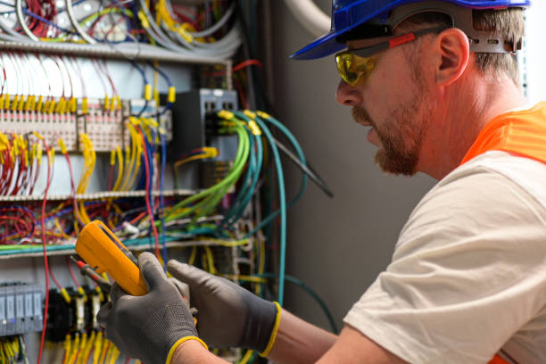 Best Electrical System Inspection  in Centreville, MI