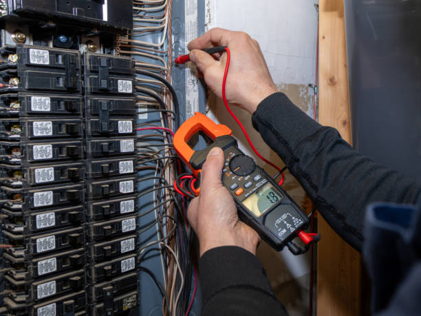 Best Industrial Electrical Services  in Centreville, MI